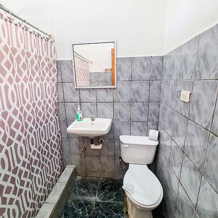 Cabinas Coco Alegre 외부 사진