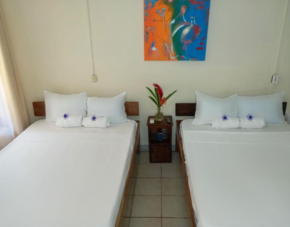 Cabinas Coco Alegre 외부 사진